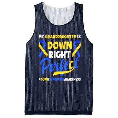 Granddaughter Is Down Right Perfect Down Syndrome Awareness Mesh Reversible Basketball Jersey Tank