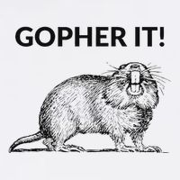 Gopher It Funny Gopher Pun Kids T-Shirt