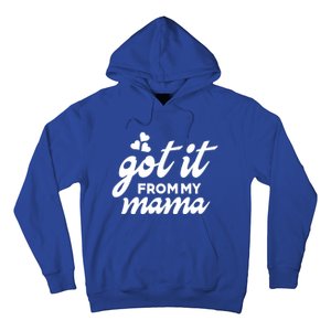 Got It From My Mama Mothers Day Funny Gift Funny Cute Gift Hoodie