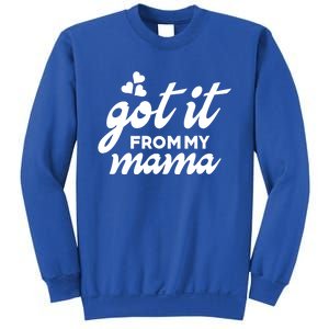 Got It From My Mama Mothers Day Funny Gift Funny Cute Gift Sweatshirt