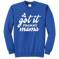 Got It From My Mama Mothers Day Funny Gift Funny Cute Gift Sweatshirt