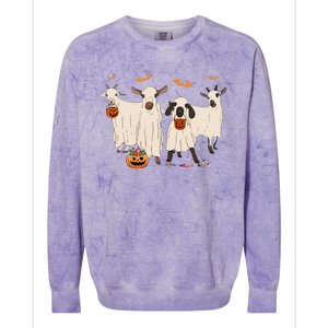 Goat In Ghost Costume Happy Halloween Day Colorblast Crewneck Sweatshirt