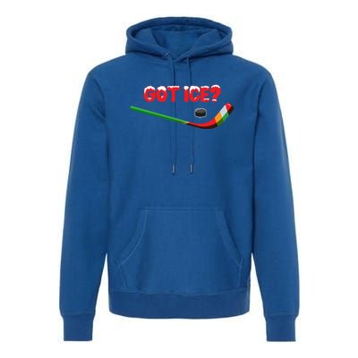 Got Ice Hockey Stick Christmas Holiday Xmas Funny Gift Premium Hoodie