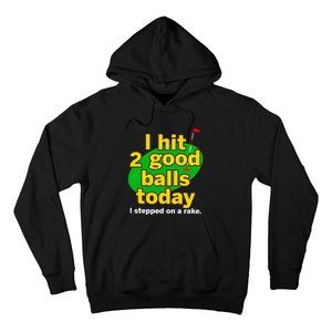 Golf I Hit 2 Good Balls Today I Stepped On A Rake Hoodie