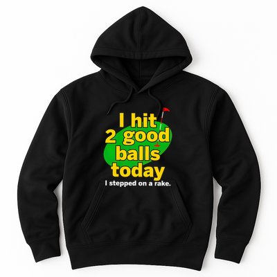 Golf I Hit 2 Good Balls Today I Stepped On A Rake Hoodie