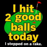 Golf I Hit 2 Good Balls Today I Stepped On A Rake Magnet