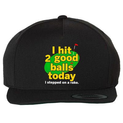Golf I Hit 2 Good Balls Today I Stepped On A Rake Wool Snapback Cap