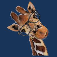 Good Ime Hipster Giraffe Fun 7 Panel Mesh Trucker Snapback Hat