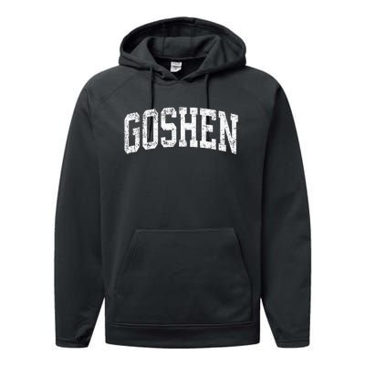 Goshen Indiana In Vintage Athletic Sports Design Performance Fleece Hoodie