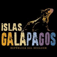 Galapagos Islands Islas Galapagos Iguana Ecuador Bucket Hat