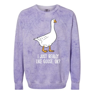 Goose I Just Really Like Goose Birds Gift Colorblast Crewneck Sweatshirt