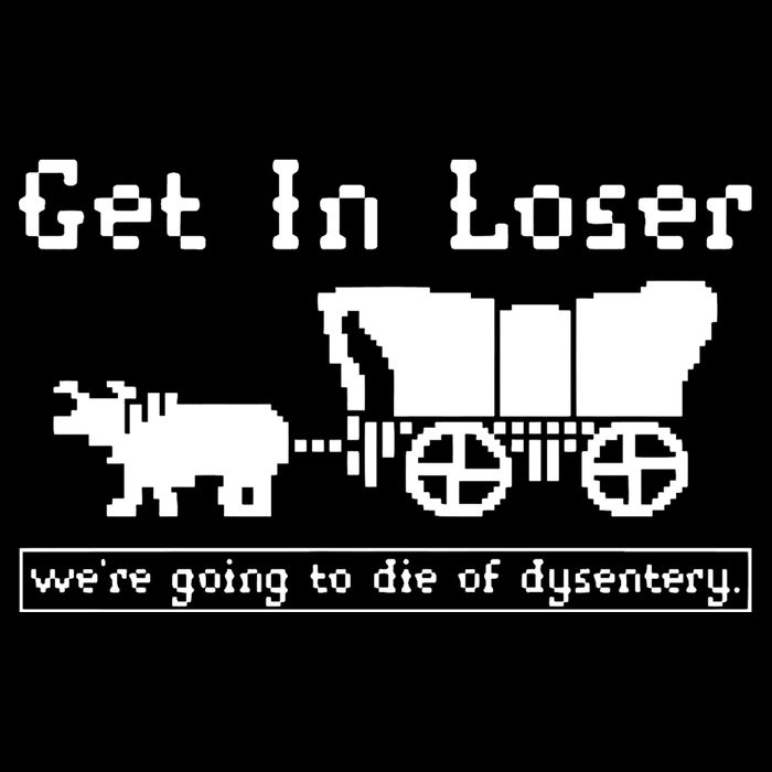 Get In Loser Were Going To Die Of Dysentery Cropped Pullover Crew
