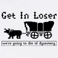 Get In Loser Were Going To Die Of Dysentery Garment-Dyed Sweatshirt