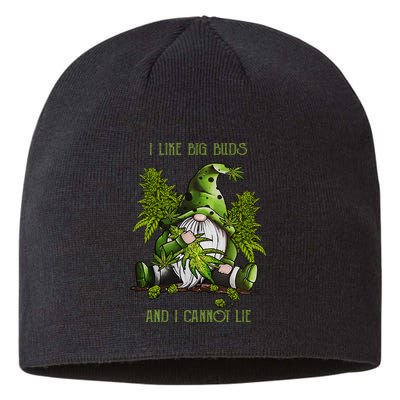 Gnome I Like Big Buds And I Cannot Lie Weed 420 Stoner Idea Sustainable Beanie