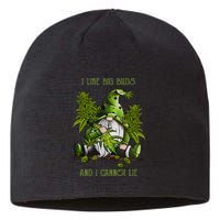 Gnome I Like Big Buds And I Cannot Lie Weed 420 Stoner Idea Sustainable Beanie