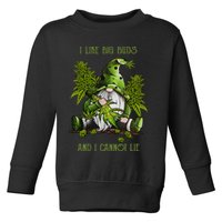 Gnome I Like Big Buds And I Cannot Lie Weed 420 Stoner Idea Toddler Sweatshirt