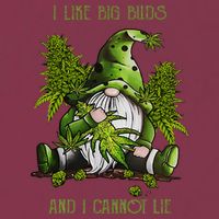 Gnome I Like Big Buds And I Cannot Lie Weed 420 Stoner Idea 16oz Travel Tumbler