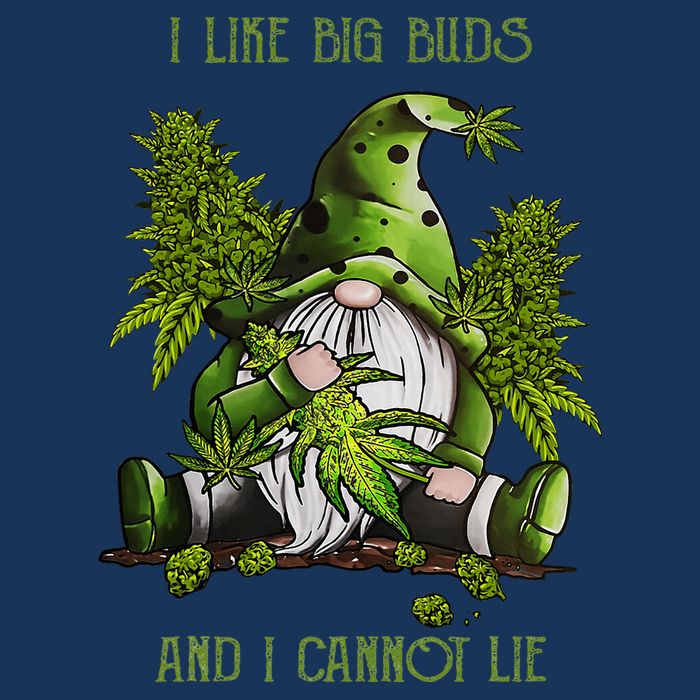 Gnome I Like Big Buds And I Cannot Lie Weed 420 Stoner Idea Infant Baby Jersey Bodysuit