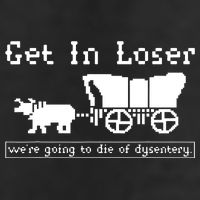 Get In Loser Were Going To Die Of Dysentery Garment-Dyed Fleece Hoodie