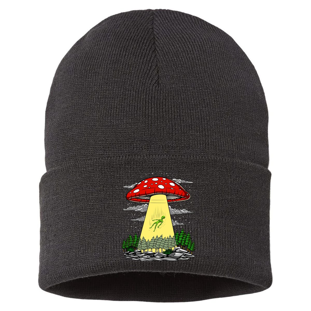 Get In Loser Were Doing Butt Stuff Sustainable Knit Beanie