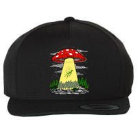 Get In Loser Were Doing Butt Stuff Wool Snapback Cap