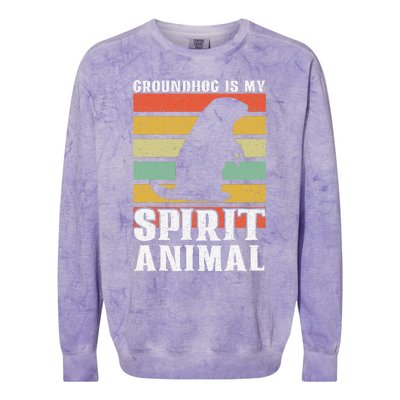 Groundhog Is My Spirit Animal Groundhog Day Funny Retro Colorblast Crewneck Sweatshirt