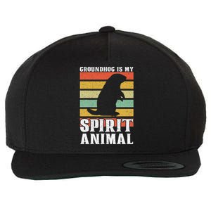 Groundhog Is My Spirit Animal Groundhog Day Funny Retro Wool Snapback Cap