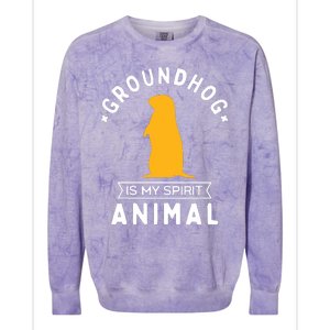 Groundhog Is My Spirit Animal Funny Woodchuck Colorblast Crewneck Sweatshirt