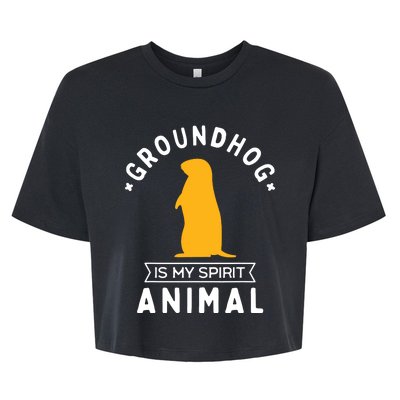 Groundhog Is My Spirit Animal Funny Woodchuck Bella+Canvas Jersey Crop Tee