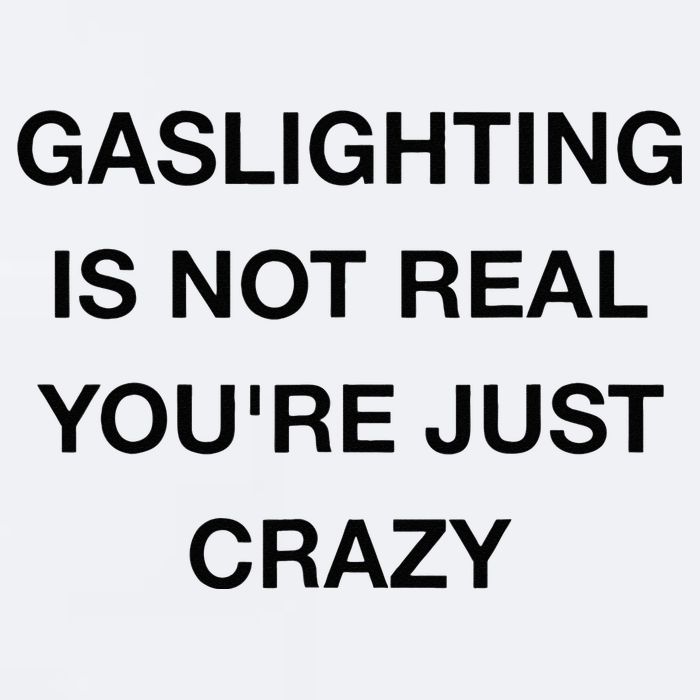 Gaslighting Is Not Real Sueded Cloud Jersey T-Shirt