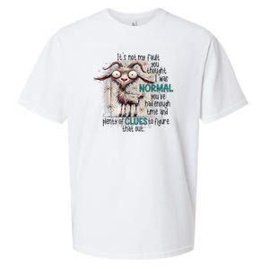 Goat ItS Not My Fault You Thought I Was Normal Sueded Cloud Jersey T-Shirt