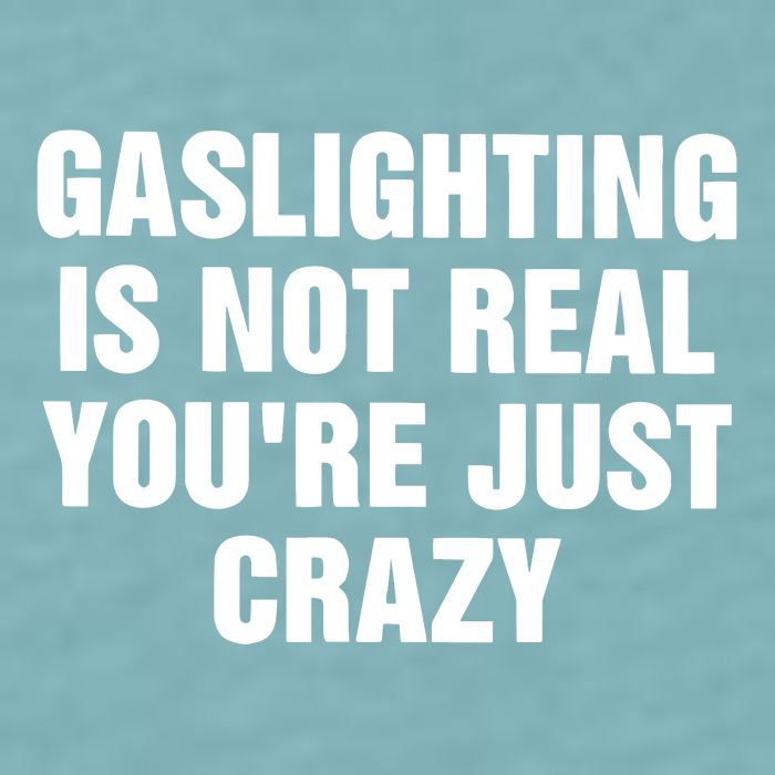 Gaslighting Is Not Real Youre Just Crazy Sueded Cloud Jersey T-Shirt