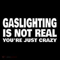 Gaslighting Is Not Real YouRe Just Crazy Cooling Performance Long Sleeve Crew