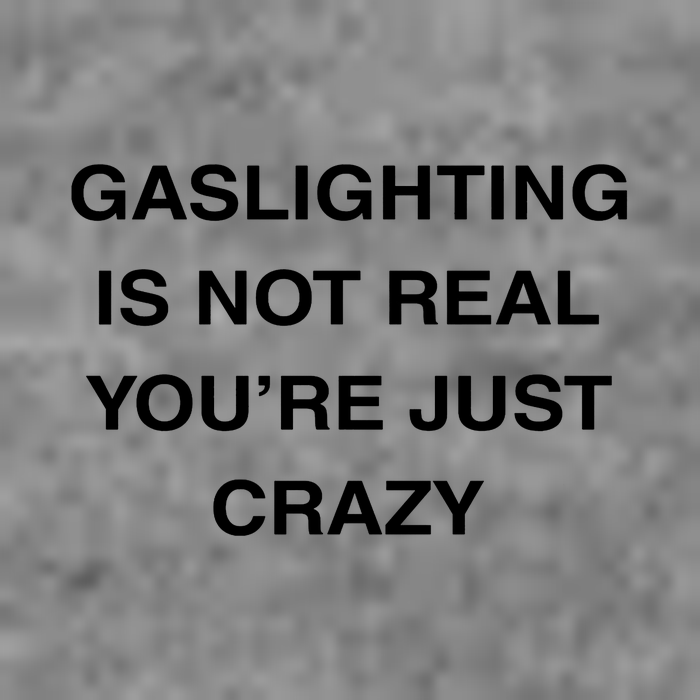 Gaslighting Is Not Real Toddler Sweatshirt