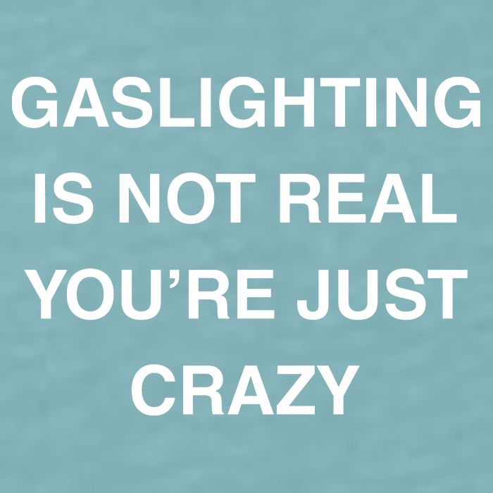 Gaslighting Is Not Real Sueded Cloud Jersey T-Shirt