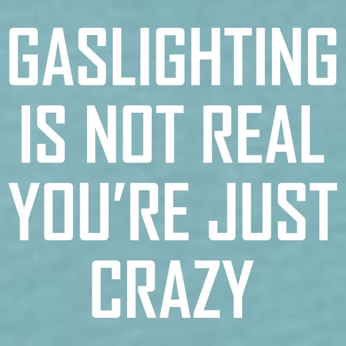Gaslighting Is Not Real You're Just Crazy Sueded Cloud Jersey T-Shirt