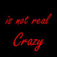 Gaslighting Is Not Real You're Just Crazy Funny Meme 16oz Travel Tumbler