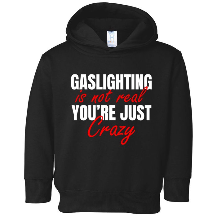 Gaslighting Is Not Real You're Just Crazy Funny Meme Toddler Hoodie