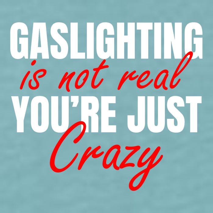 Gaslighting Is Not Real You're Just Crazy Funny Meme Sueded Cloud Jersey T-Shirt