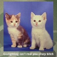 Gaslighting Isnt Real You Crazy B.I.T.C.H Funny Cat Lover Legacy Tie Dye Trucker Hat