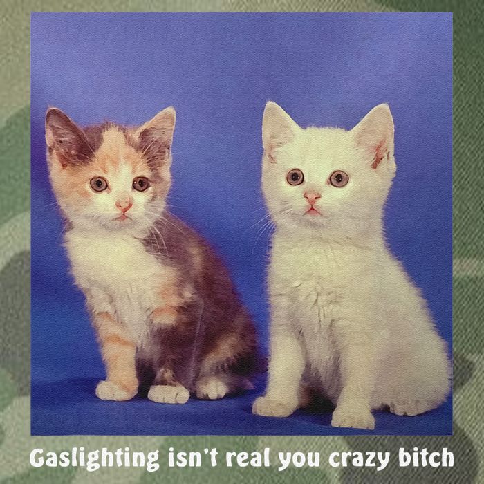 Gaslighting Isnt Real You Crazy B.I.T.C.H Funny Cat Lover Legacy Tie Dye Trucker Hat