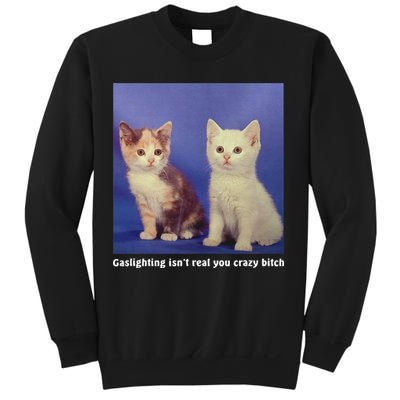 Gaslighting Isnt Real You Crazy B.I.T.C.H Funny Cat Lover Sweatshirt