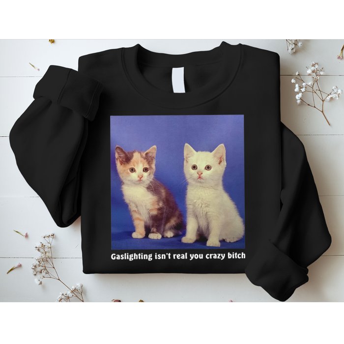 Gaslighting Isnt Real You Crazy B.I.T.C.H Funny Cat Lover Sweatshirt