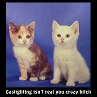 Gaslighting Isnt Real You Crazy B.I.T.C.H Funny Cat Lover Sustainable Bucket Hat
