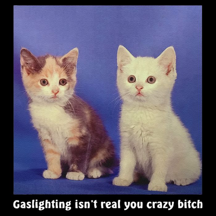 Gaslighting Isnt Real You Crazy B.I.T.C.H Funny Cat Lover Sustainable Bucket Hat