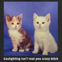 Gaslighting Isnt Real You Crazy B.I.T.C.H Funny Cat Lover 25L Jumbo Tote