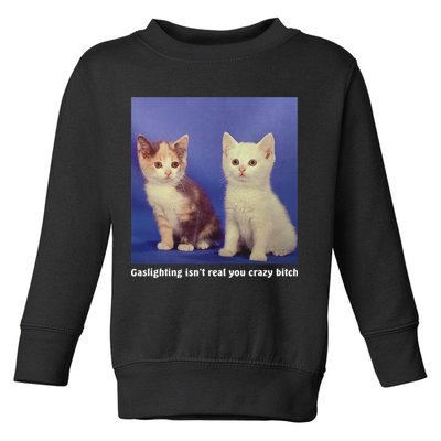 Gaslighting Isnt Real You Crazy B.I.T.C.H Funny Cat Lover Toddler Sweatshirt
