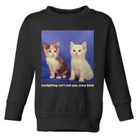 Gaslighting Isnt Real You Crazy B.I.T.C.H Funny Cat Lover Toddler Sweatshirt