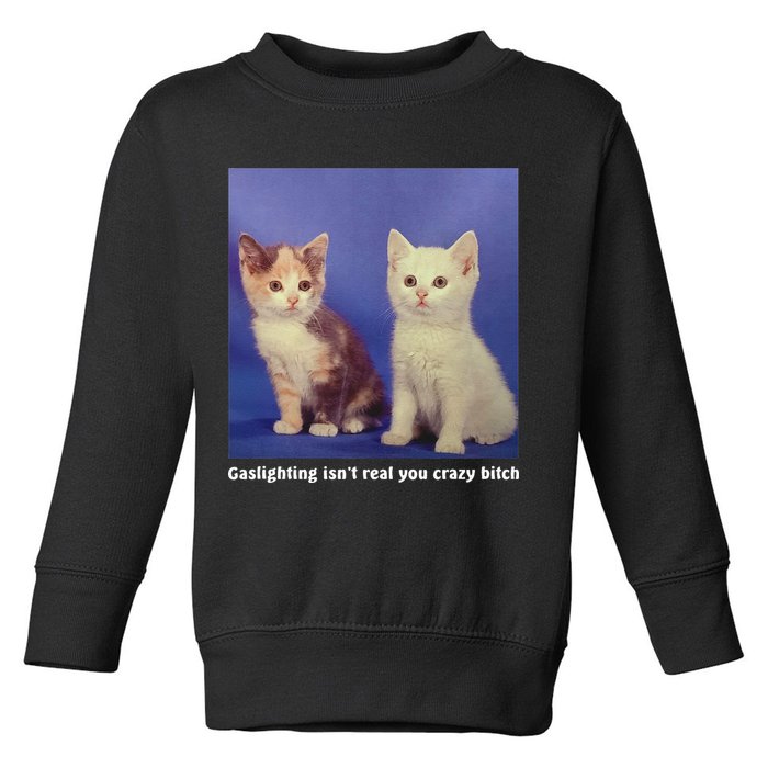 Gaslighting Isnt Real You Crazy B.I.T.C.H Funny Cat Lover Toddler Sweatshirt