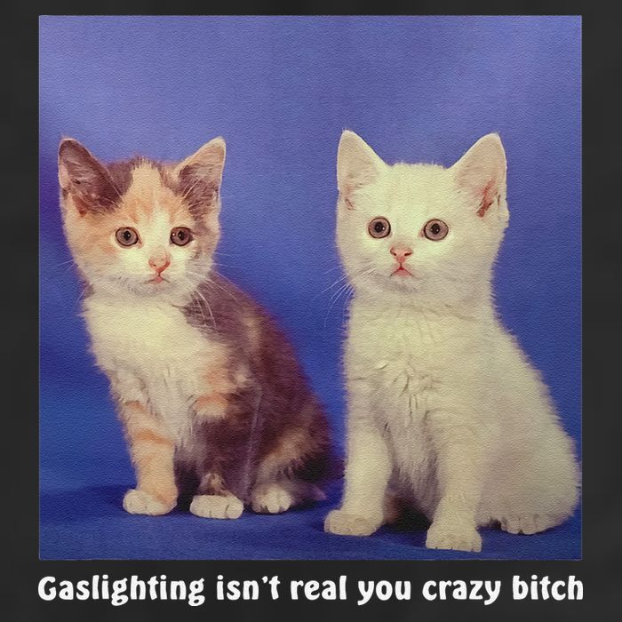 Gaslighting Isnt Real You Crazy B.I.T.C.H Funny Cat Lover Hat
